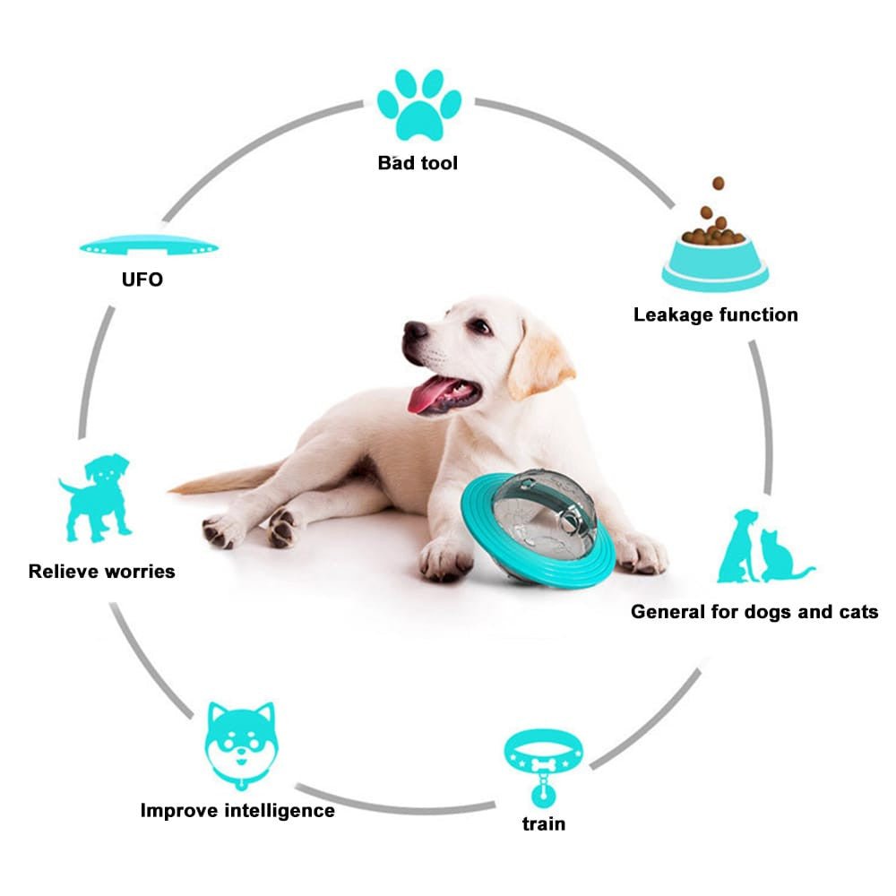 Comedero interactivo para perros - CLICK + GO