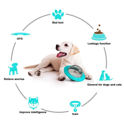 Comedero interactivo para perros - CLICK + GO